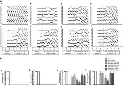 The Ameliorating Effects of Bushen Huatan Granules and Kunling Wan on Polycystic Ovary Syndrome Induced by Dehydroepiandrosterone in Rats